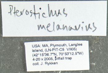 Media type: image;   Entomology 600404 Aspect: labels
